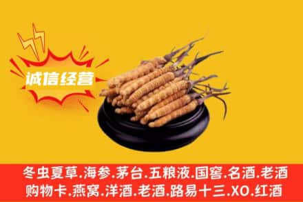 新巴尔虎右旗回收冬虫夏草